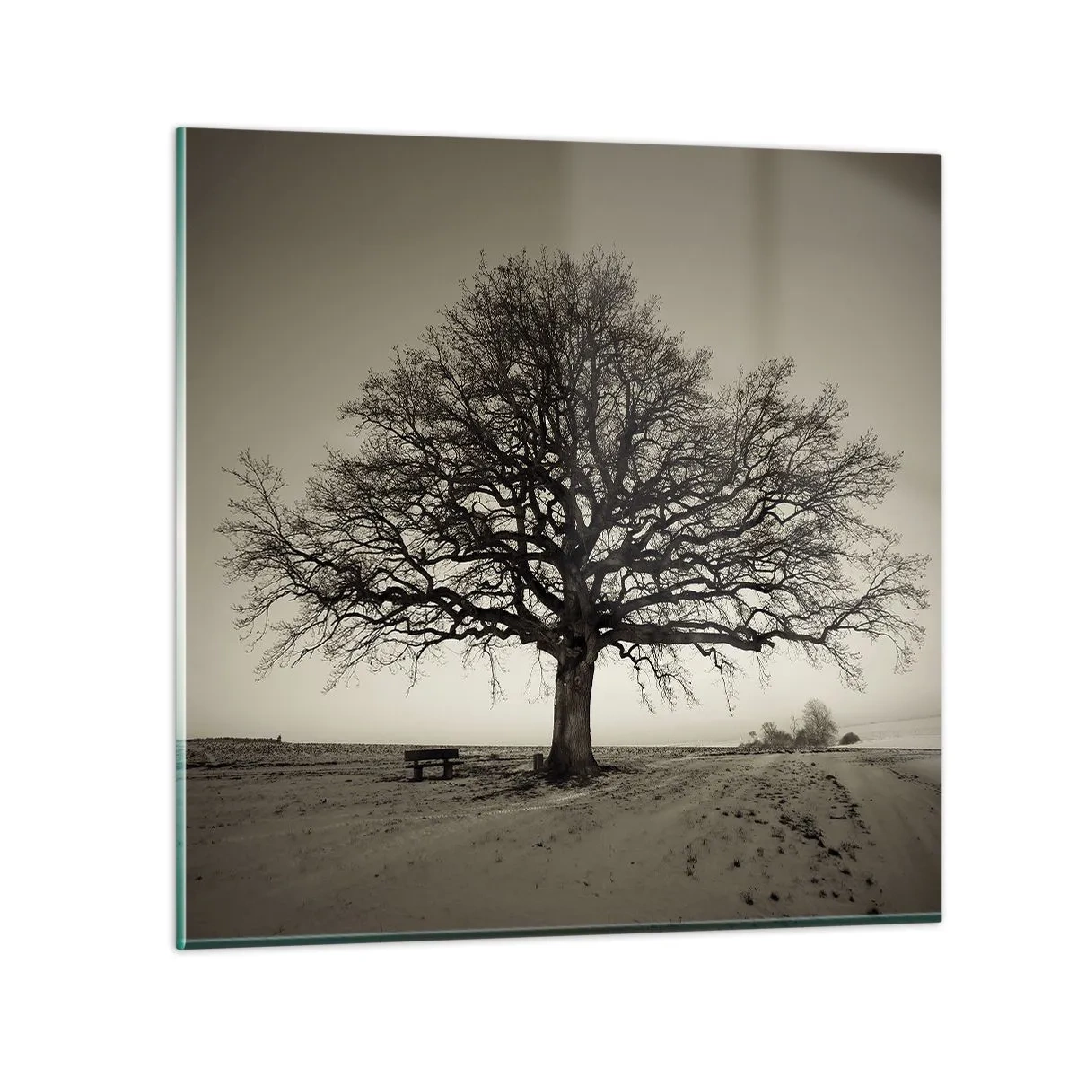 Glasbild - Bild auf glas - Von hier zu Ewigkeit - 50x50 cm