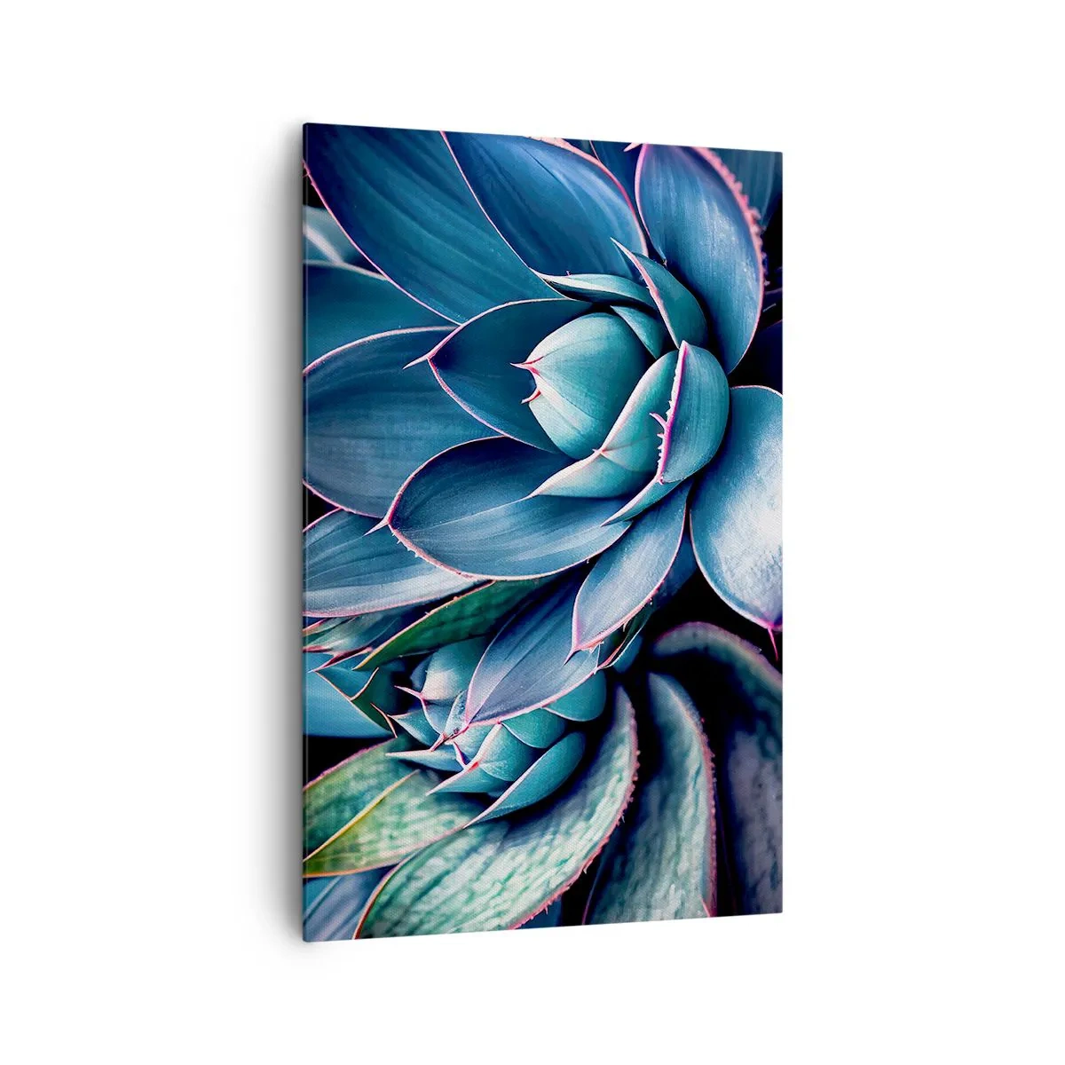 Bild auf Leinwand - Leinwandbild - Agave in Blau- und Grüntönen mit rosa Akzenten - 80x120cm - Lebenskraft - Moderne Wanddekoration für Wohnzimmer und Schlafzimmer ARTTOR
