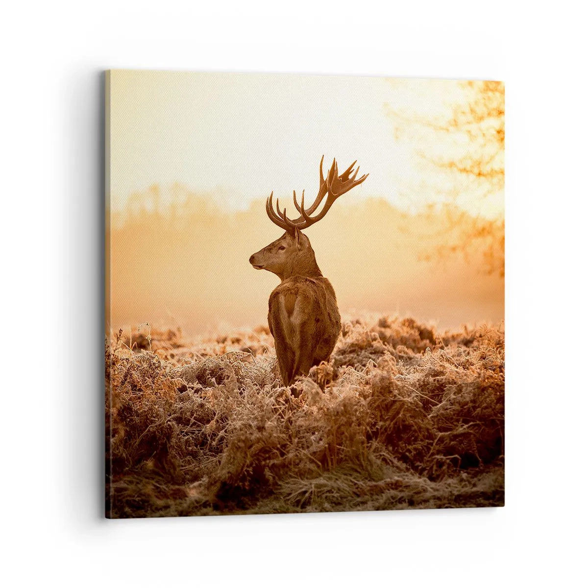 Bild auf Leinwand - Leinwandbild - Herr im eigenen Land - 70x70 cm