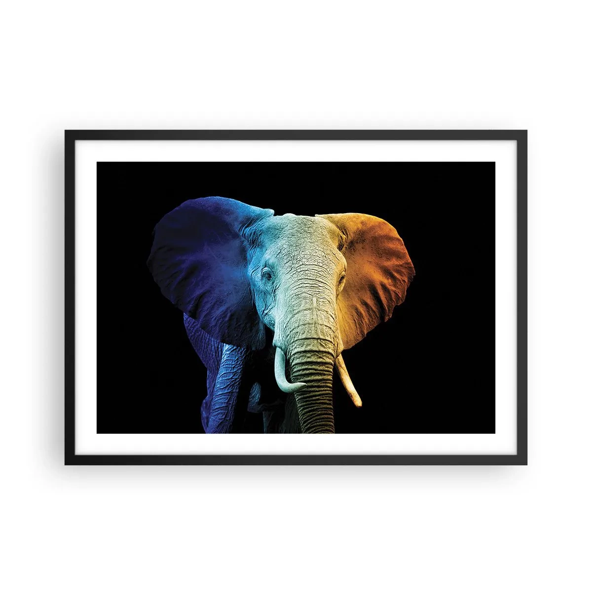 Poster in einem schwarzem Rahmen - Elefantenporträt in Regenbogenfarben - 70x50cm - Exzentrisch, kein Verrückter - Moderne Wanddekoration für Wohnzimmer und Schlafzimmer ARTTOR