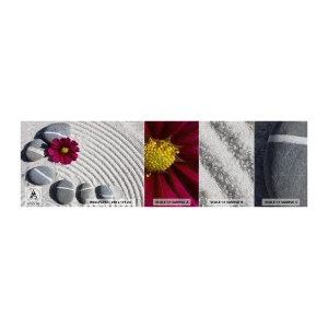 Fototapeten Muster Premium Sand - Energie und Ruhe des Zauberkreises der Natur - Blumen, Sand, Steine - 100x30 cm