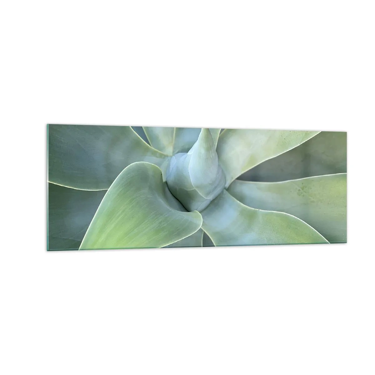 Glasbild - Bild auf glas - Dezente Agavenblätter in Grüntönen - 140x50cm - Geburt des Grüns - Moderne Wanddekoration für Wohnzimmer und Schlafzimmer ARTTOR
