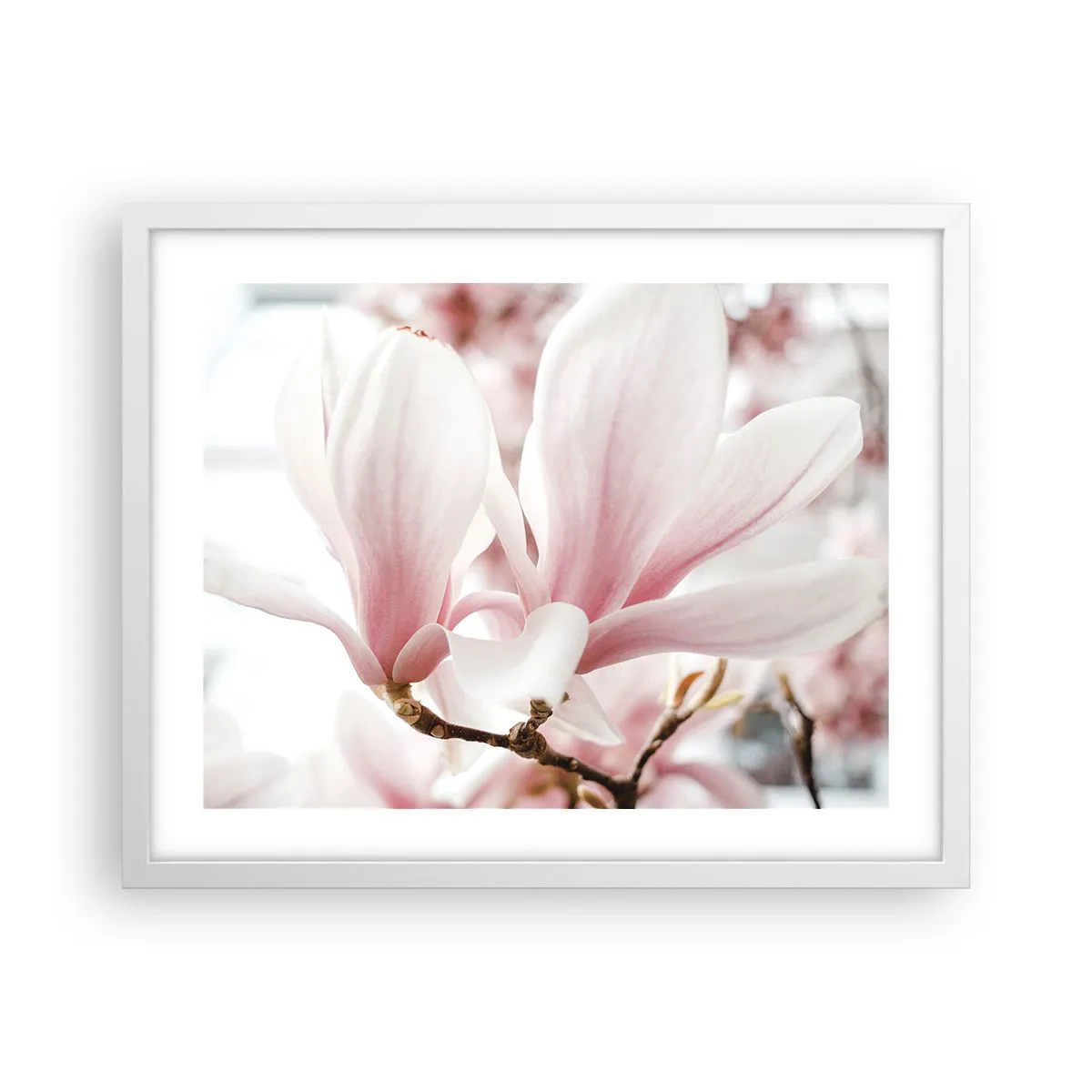 Poster in einem weißen Rahmen - Eine Fülle von Zärtlichkeit - 50x40 cm