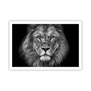 Poster - Im Krönungsgewand - 91x61 cm