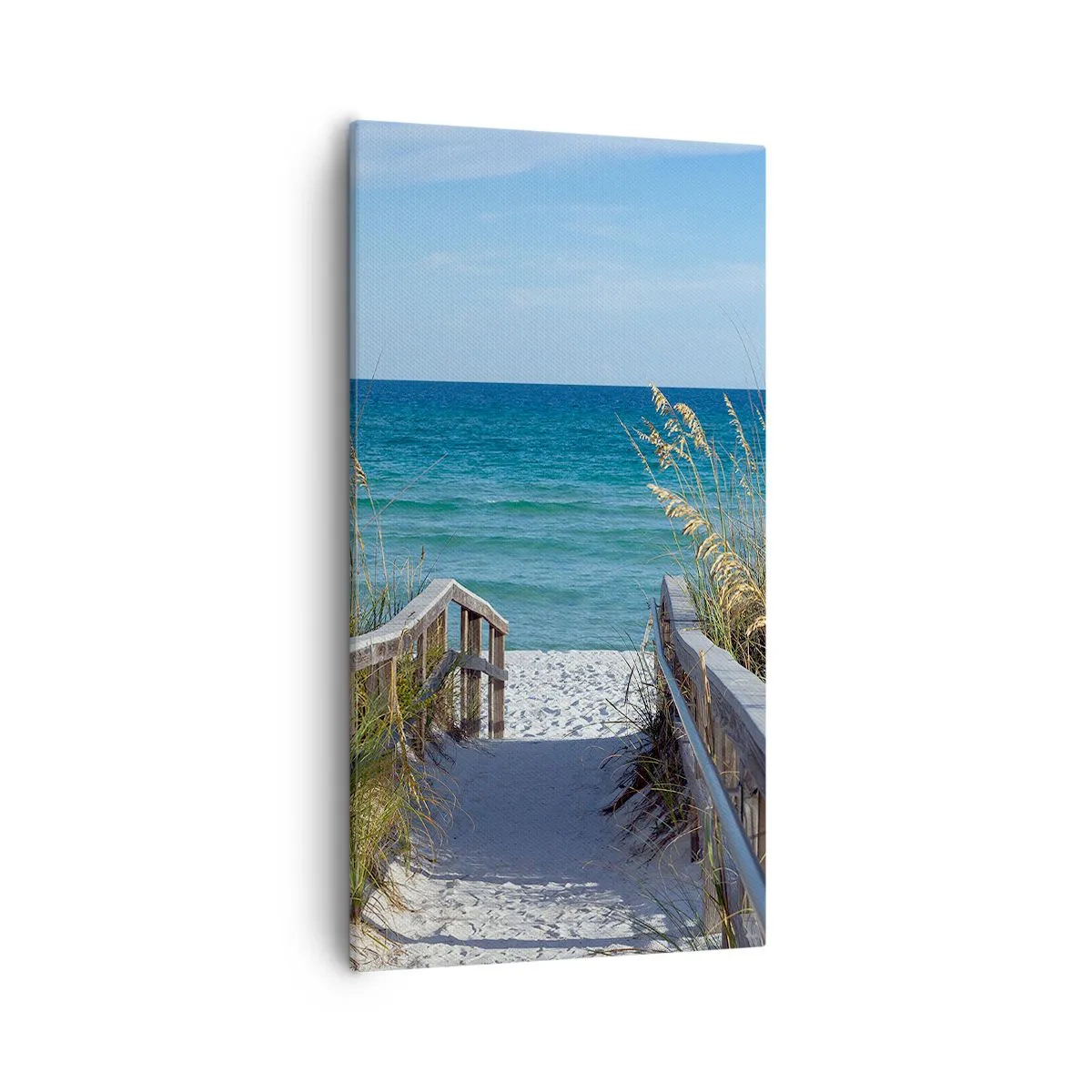 Bild auf Leinwand - Leinwandbild - In der Sonne, im Wind - 55x100 cm