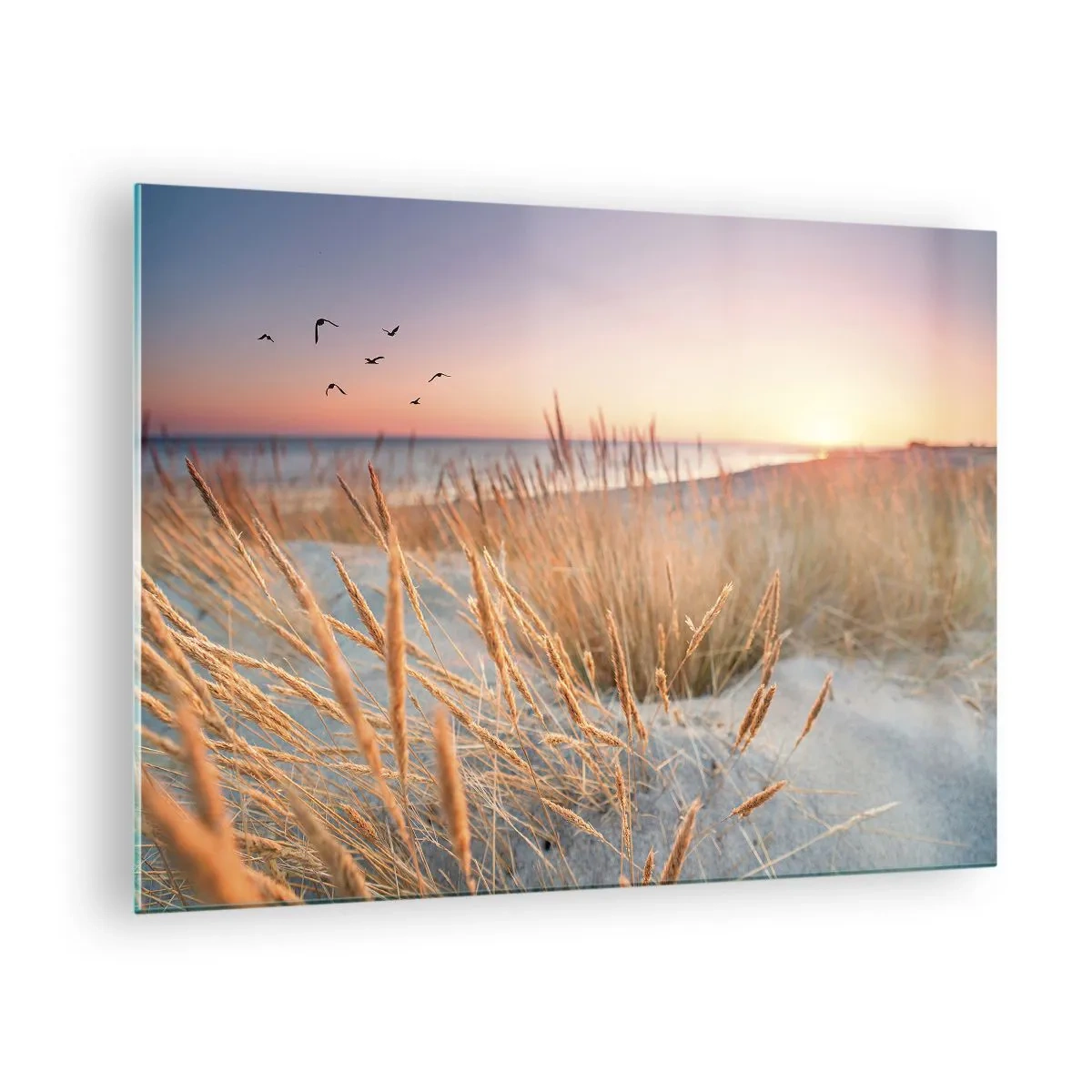 Glasbild - Bild auf glas - Ein Strand mit Gras und die Sonne geht über dem Meer unter - 70x50cm - Das baltische Wiegenlied - Moderne Wanddekoration für Wohnzimmer und Schlafzimmer ARTTOR