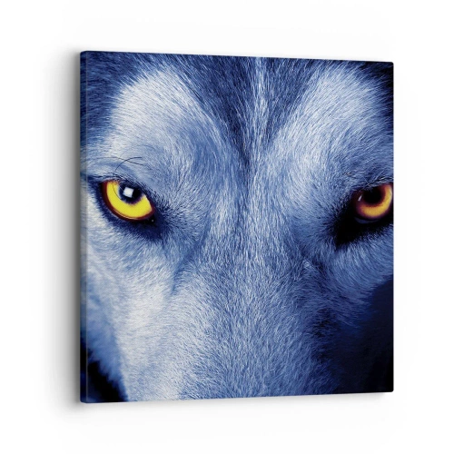 Bild auf Leinwand - Leinwandbild - Faszinierender Blick - 30x30 cm