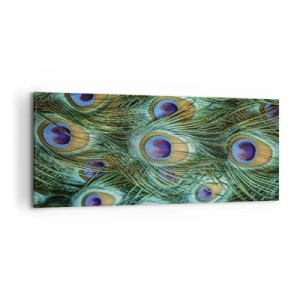 Bild auf Leinwand - Leinwandbild - Details von Pfauenfedern in satten Farben - 120x50cm - Ein Blick mit Pfauenaugen - Moderne Wanddekoration für Wohnzimmer und Schlafzimmer ARTTOR