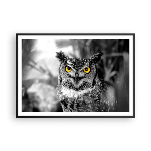 Poster in einem schwarzem Rahmen - Eine Schwarz-Weiß-Aufnahme einer Eule mit gelben Augen - 100x70cm - Nichts wird sich verstecken - Moderne Wanddekoration für Wohnzimmer und Schlafzimmer ARTTOR