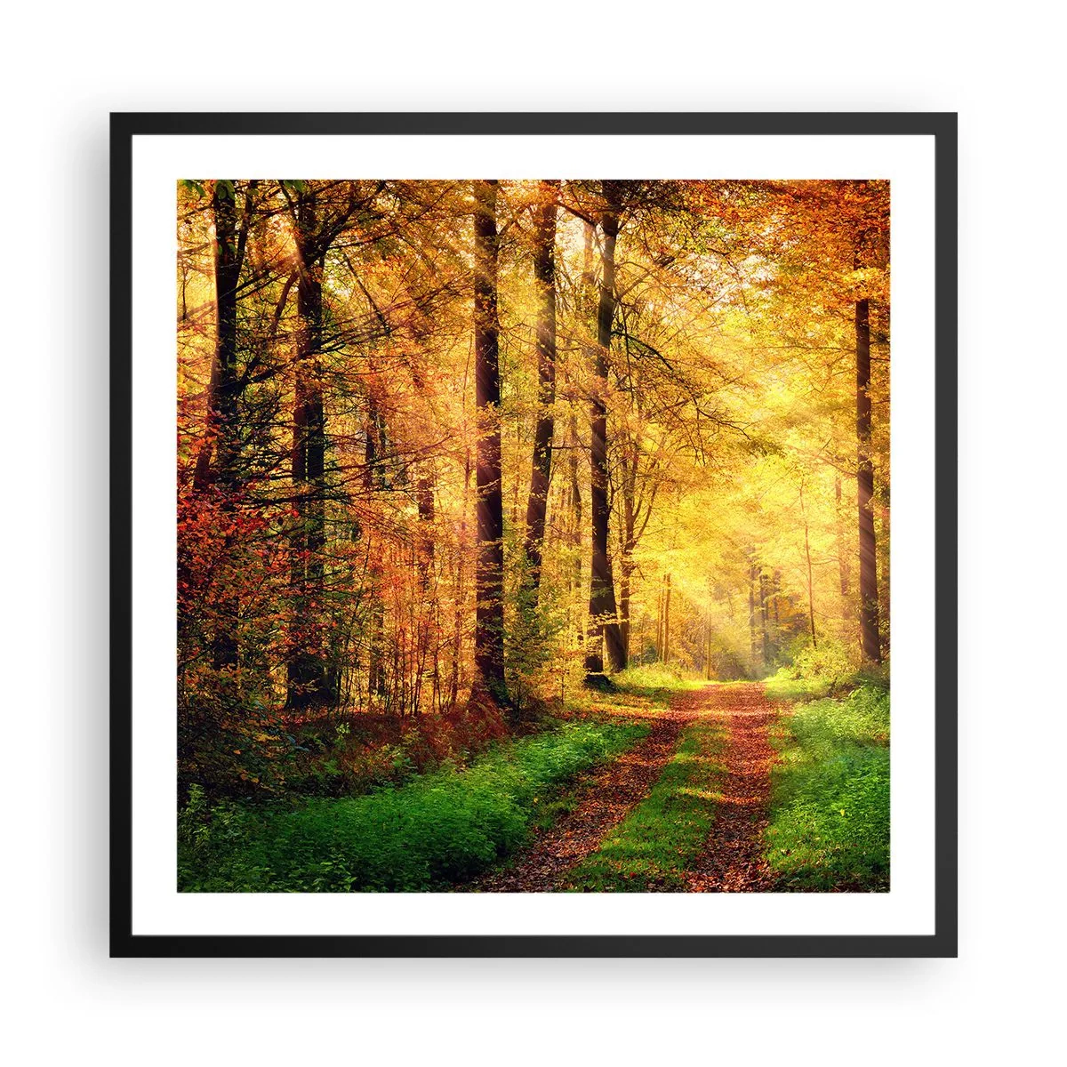 Poster in einem schwarzem Rahmen - Waldgoldene Stille - 60x60 cm