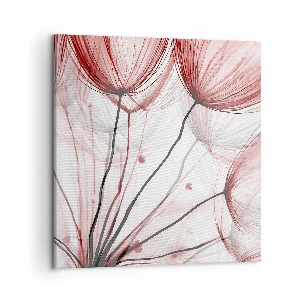 Bild auf Leinwand - Leinwandbild - Vor der Abfahrt - 50x50 cm