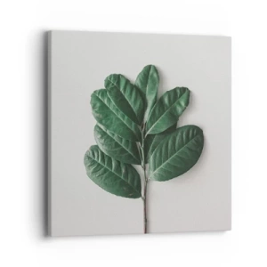 Bild auf Leinwand - Leinwandbild - Eine Zeichnung purer Natur - 40x40 cm