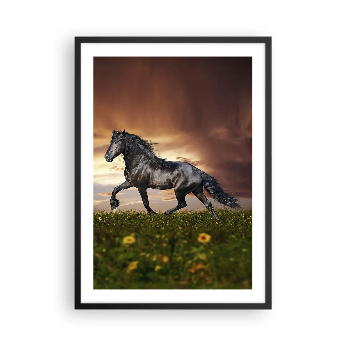 Poster in einem schwarzem Rahmen - Ein schwarzes Pferd galoppiert im Licht der untergehenden Sonne über eine Wiese. - 50x70cm - Schwarzer Prinz - Moderne Wanddekoration für Wohnzimmer und Schlafzimmer ARTTOR