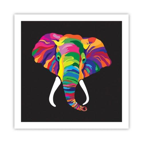 Poster - Der Elefant, der es liebte, im Regenbogen zu baden - 60x60 cm