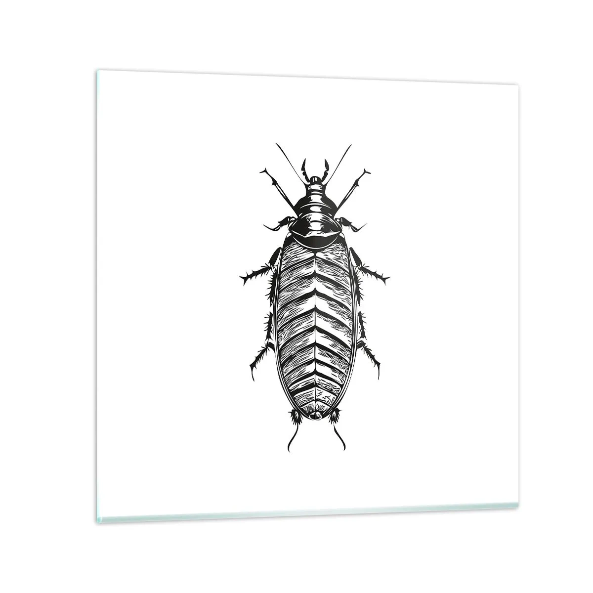 Glasbild - Bild auf glas - Was für ein Exemplar! - 40x40 cm