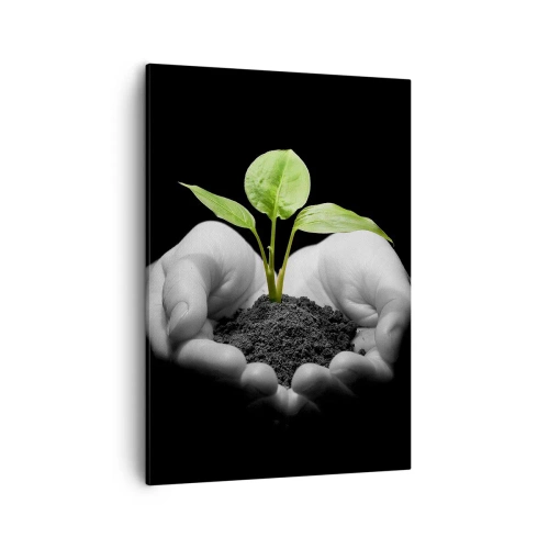 Bild auf Leinwand - Leinwandbild - Hände halten eine grüne Pflanze auf schwarzem Hintergrund - 50x70cm - Ich liebe die Natur, ich beschütze sie - Moderne Wanddekoration für Wohnzimmer und Schlafzimmer ARTTOR