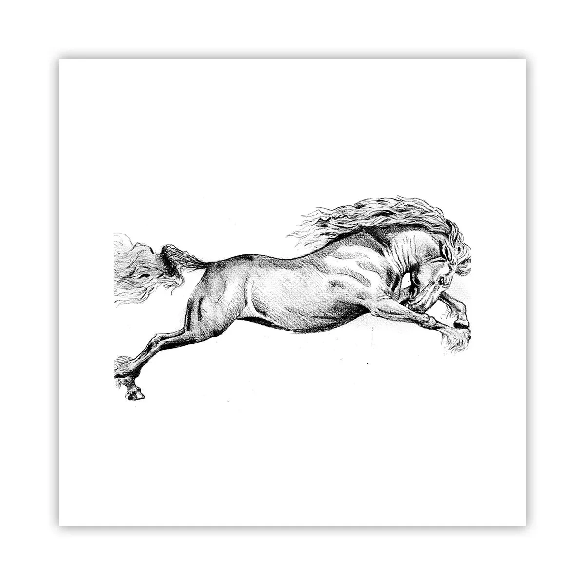Poster - Im Galopp festgehalten - 30x30 cm