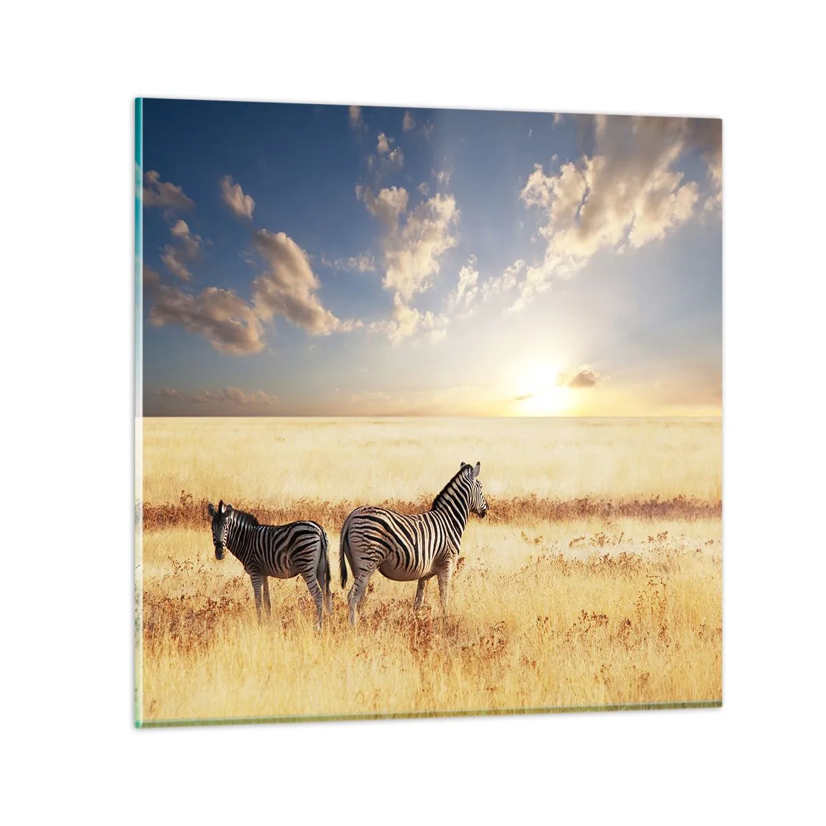 Glasbild - Bild auf glas - Geh weg, sei nicht in Frieden - 60x60 cm