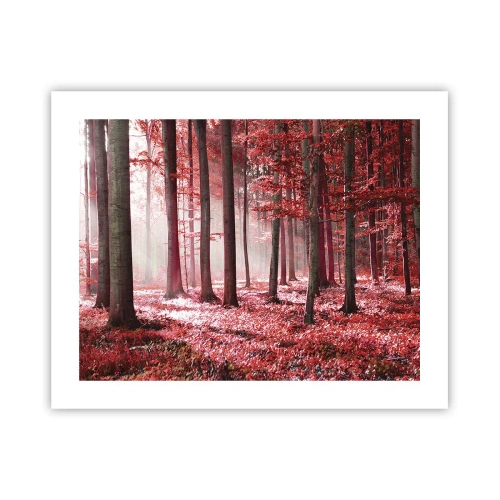 Poster - Rot ist genauso schön - 50x40 cm