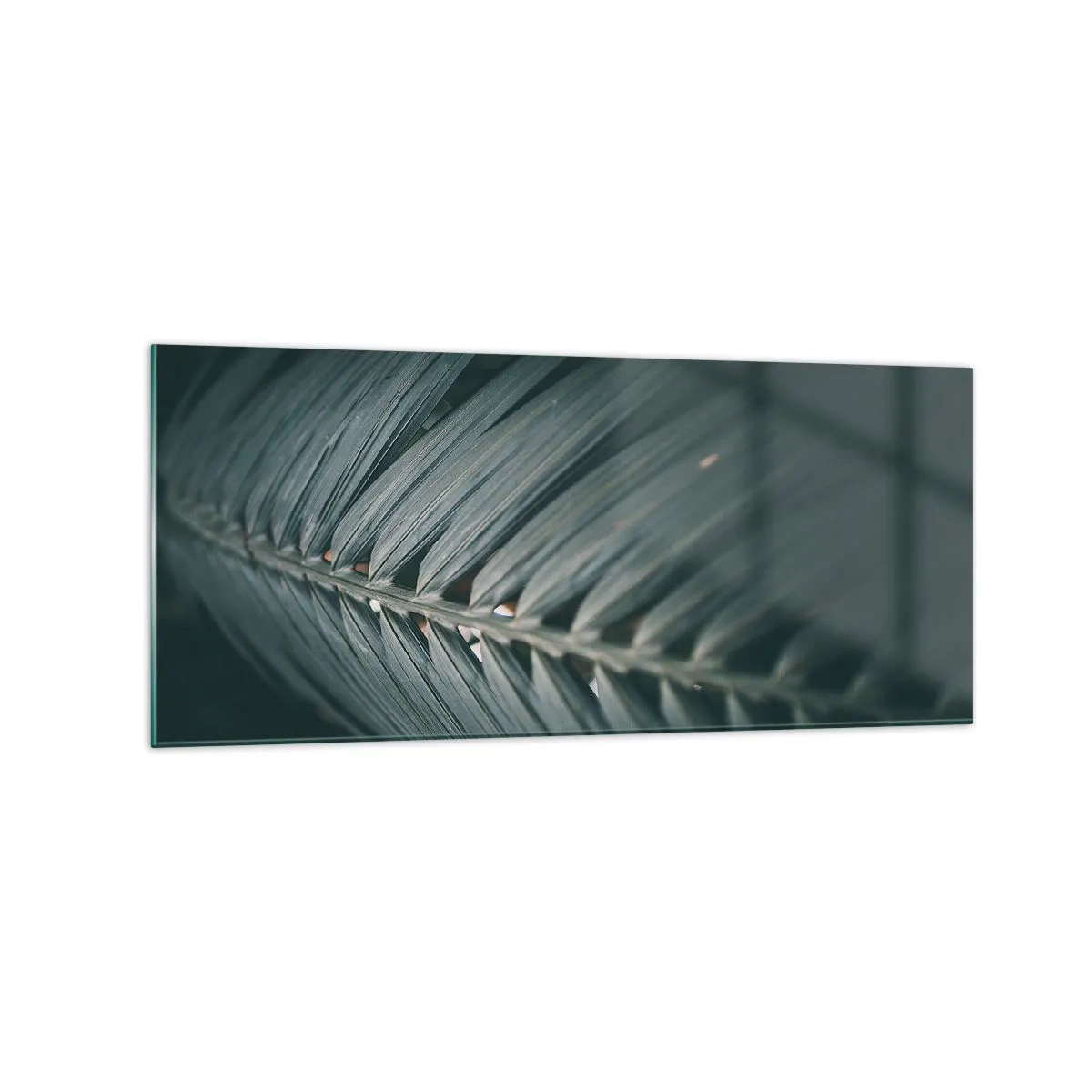 Glasbild - Bild auf glas - Nahaufnahme eines dunkel getönten Palmblattdetails - 120x50cm - Die Präzision der Natur - Moderne Wanddekoration für Wohnzimmer und Schlafzimmer ARTTOR