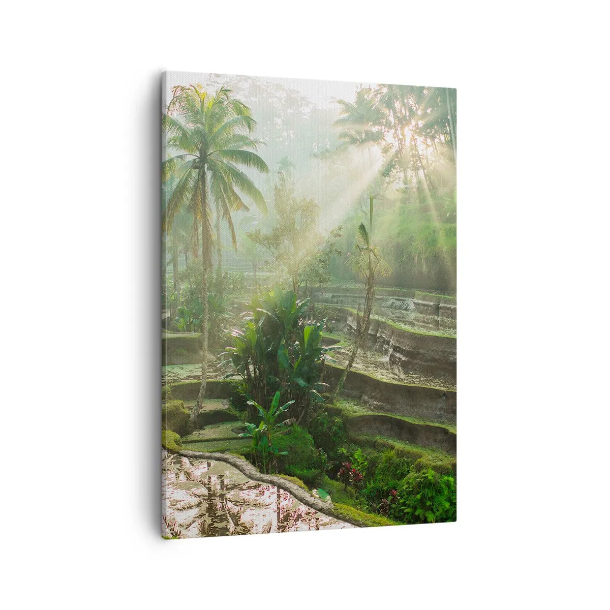 Bild auf Leinwand - Leinwandbild - Reisterrassen mit Palmen in den Sonnenstrahlen - 50x70cm - In der Sonne aufwachsen - Moderne Wanddekoration für Wohnzimmer und Schlafzimmer ARTTOR