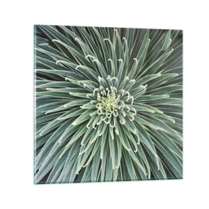 Glasbild - Bild auf glas - Ein Star ist geboren - 30x30 cm