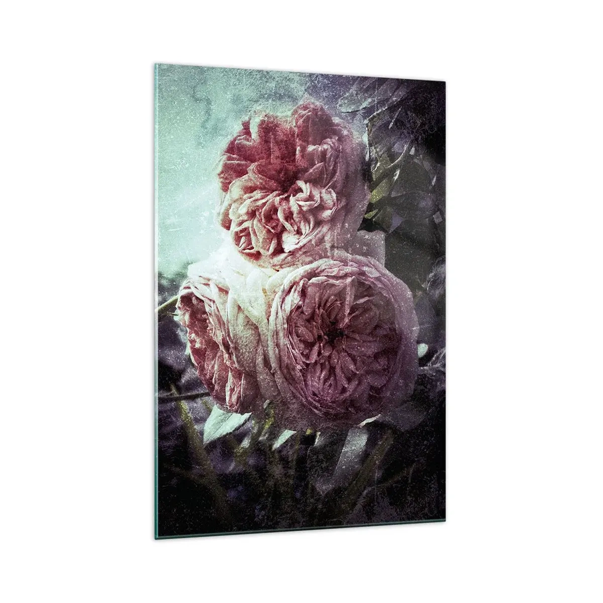 Glasbild - Bild auf glas - In romantischer Atmosphäre - 70x100 cm