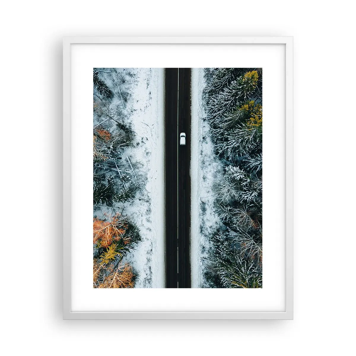 Poster in einem weißen Rahmen - Schnitt durch den Winterwald - 40x50 cm
