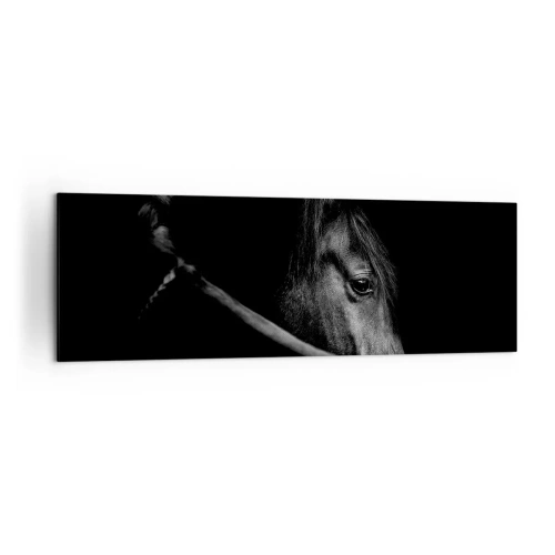 Bild auf Leinwand - Leinwandbild - Ein Schwarz-Weiß-Porträt eines Pferdes mit einem subtilen Spiel aus Licht und Schatten vor dunklem Hintergrund. - 160x50cm - Schwarzer Prinz - Moderne Wanddekoration für Wohnzimmer und Schlafzimmer ARTTOR