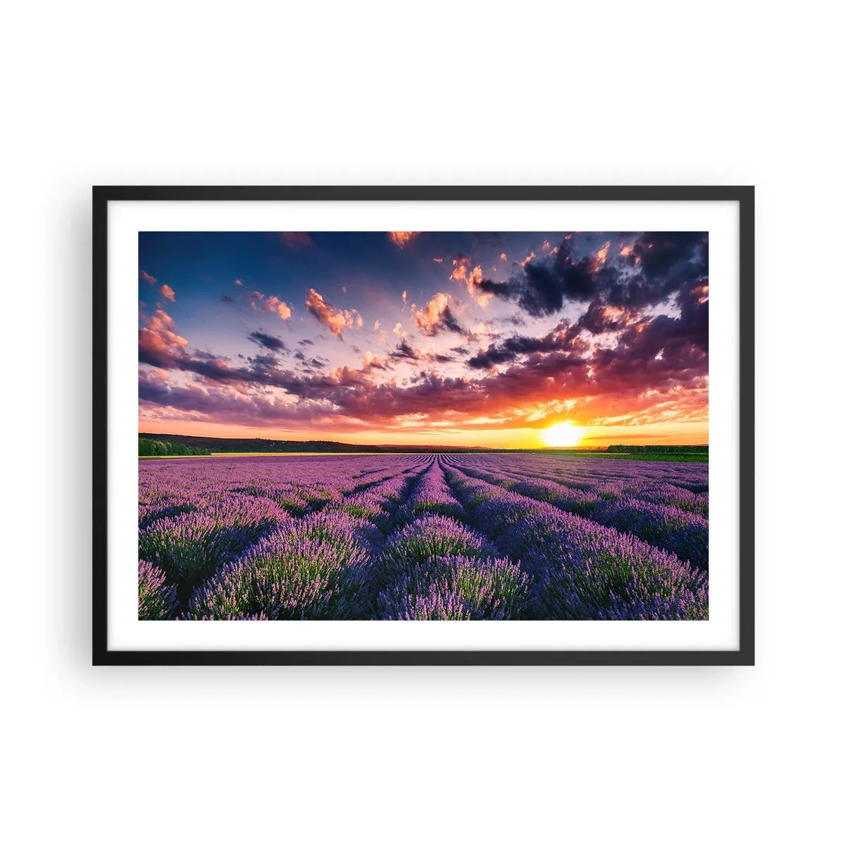 Poster in einem schwarzem Rahmen - Ein Lavendelfeld bei Sonnenuntergang mit einem farbenfrohen Himmel - 70x50cm - Lavendel Welt - Moderne Wanddekoration für Wohnzimmer und Schlafzimmer ARTTOR