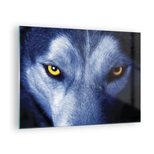 Glasbild - Bild auf glas - Der faszinierende Blick eines Wolfes - 70x50cm - Faszinierender Blick - Moderne Wanddekoration für Wohnzimmer und Schlafzimmer ARTTOR