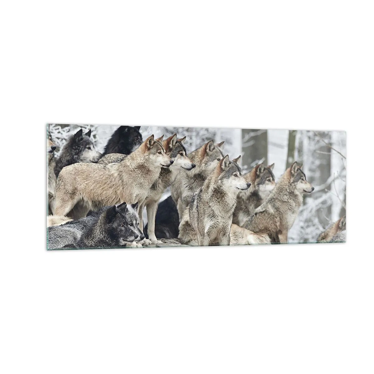 Glasbild - Bild auf glas - Ein Wolfsrudel im Winterwald - 140x50cm - Familie und Freunde - Moderne Wanddekoration für Wohnzimmer und Schlafzimmer ARTTOR
