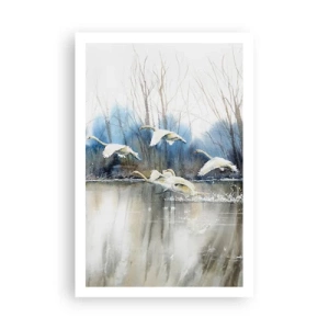 Poster - Wie im Märchen von den wilden Schwänen - 61x91 cm