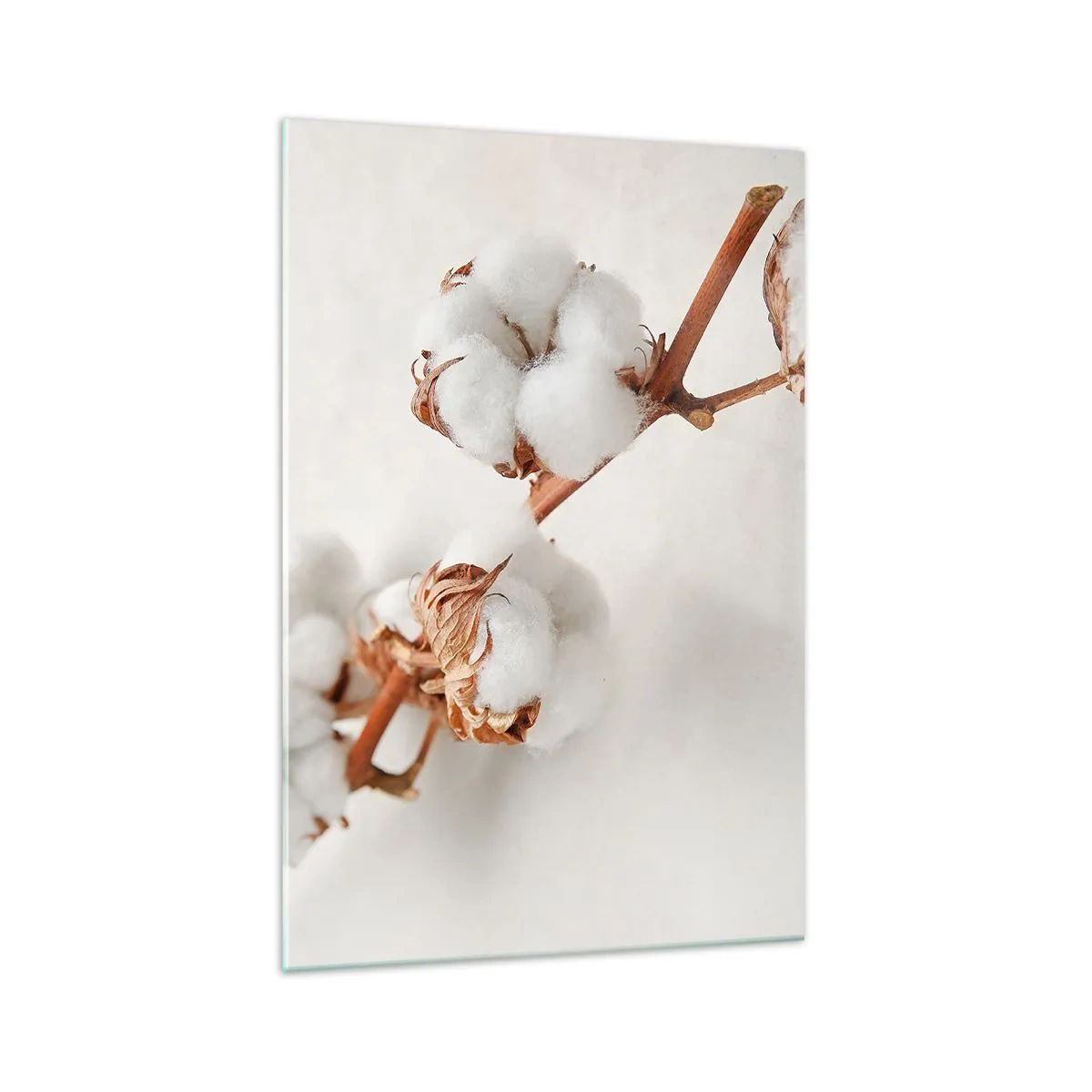 Glasbild - Bild auf glas - Ein Zweig Baumwolle auf dezentem Untergrund - 70x100cm - Nur umarmen - Moderne Wanddekoration für Wohnzimmer und Schlafzimmer ARTTOR