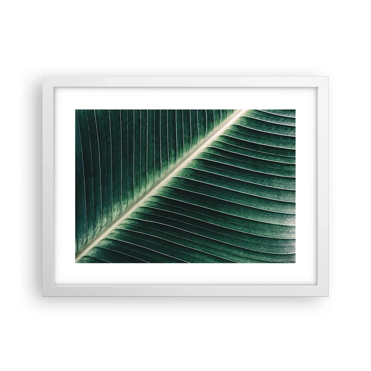 Poster in einem weißen Rahmen - Rhythmus der Natur - 40x30 cm