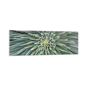 Glasbild - Bild auf glas - Symmetrische Anordnung grüner Blätter, die einem Stern ähneln - 160x50cm - Ein Star ist geboren - Moderne Wanddekoration für Wohnzimmer und Schlafzimmer ARTTOR