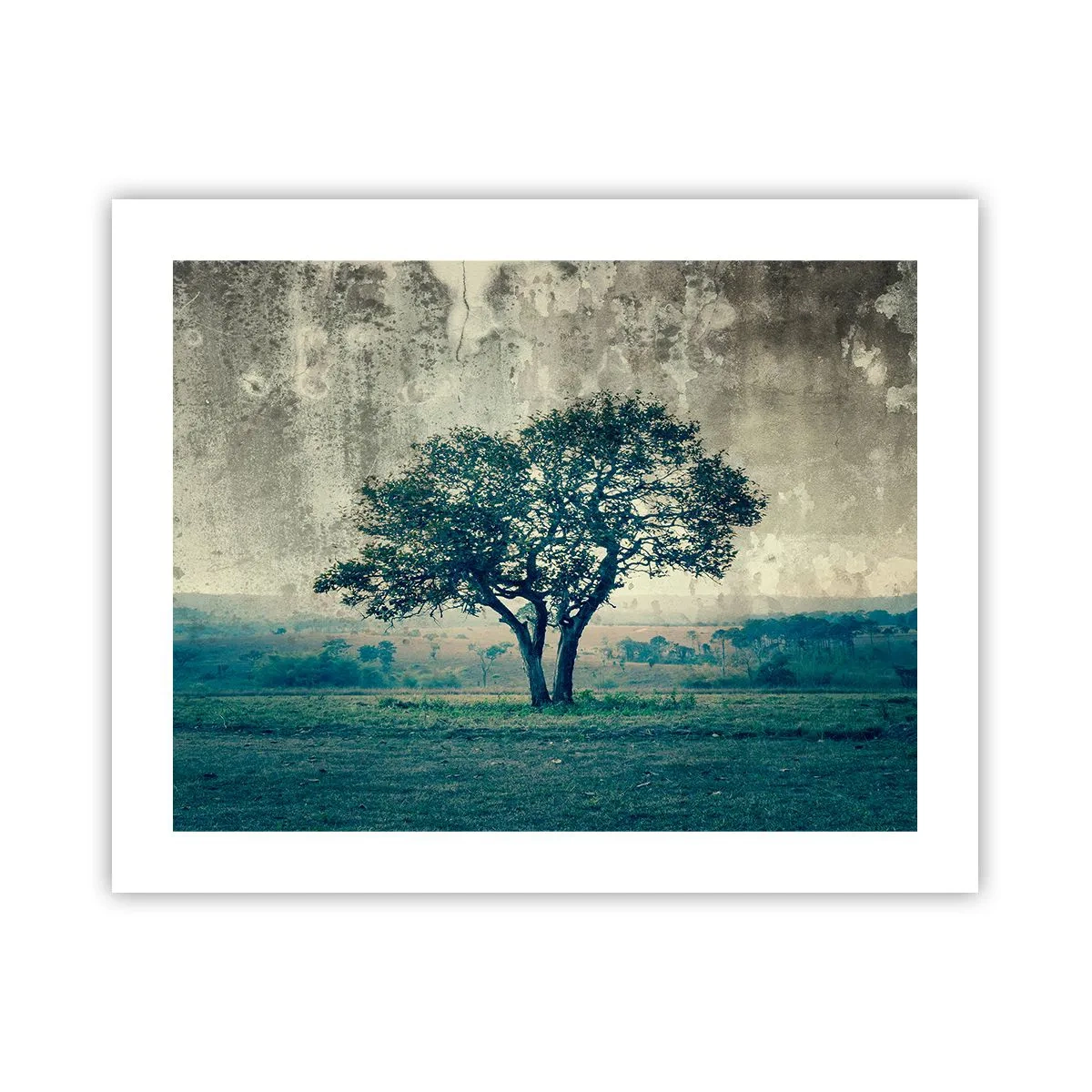 Poster - Ein Apfelbaum auf blauem Feld? - 50x40 cm