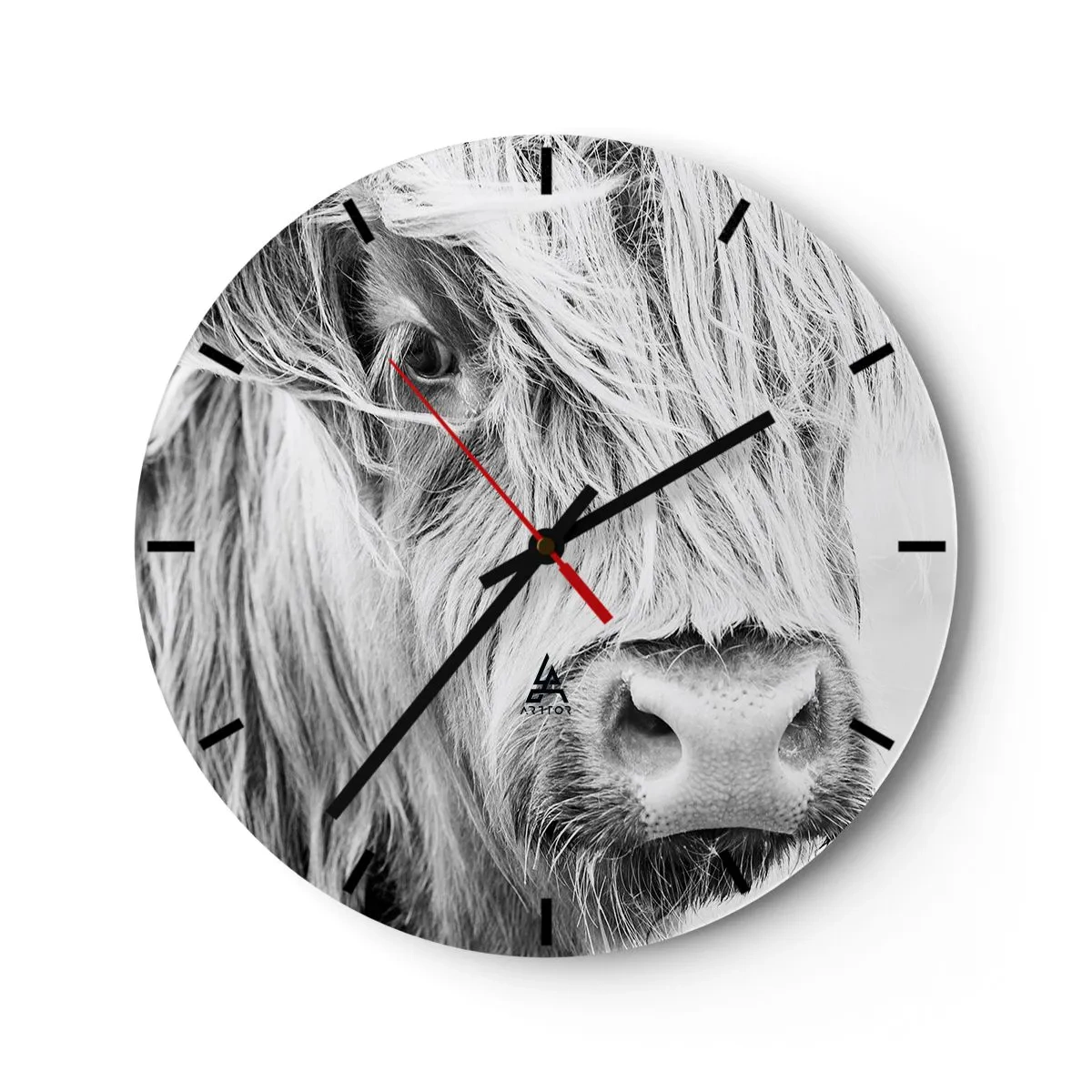 Wanduhr - Glasuhr - Porträt eines langhaarigen schottischen Rindes in Schwarz und Weiß - 30x30cm - Schottische Wildheit - Moderne Wanddekoration für Wohnzimmer, Küche und Schlafzimmer ARTTOR