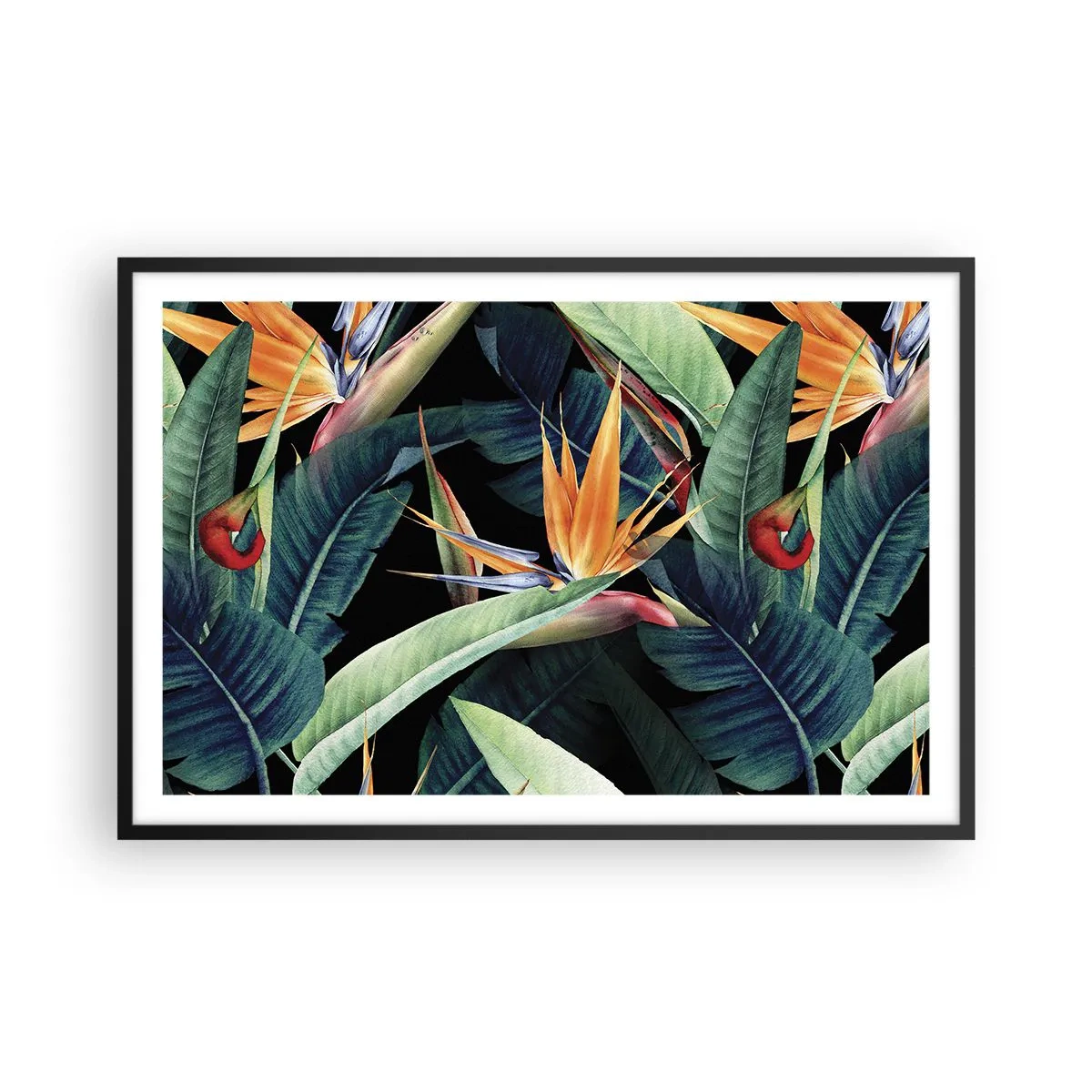 Poster in einem schwarzem Rahmen - Flammende Blumen der Tropen - 91x61 cm