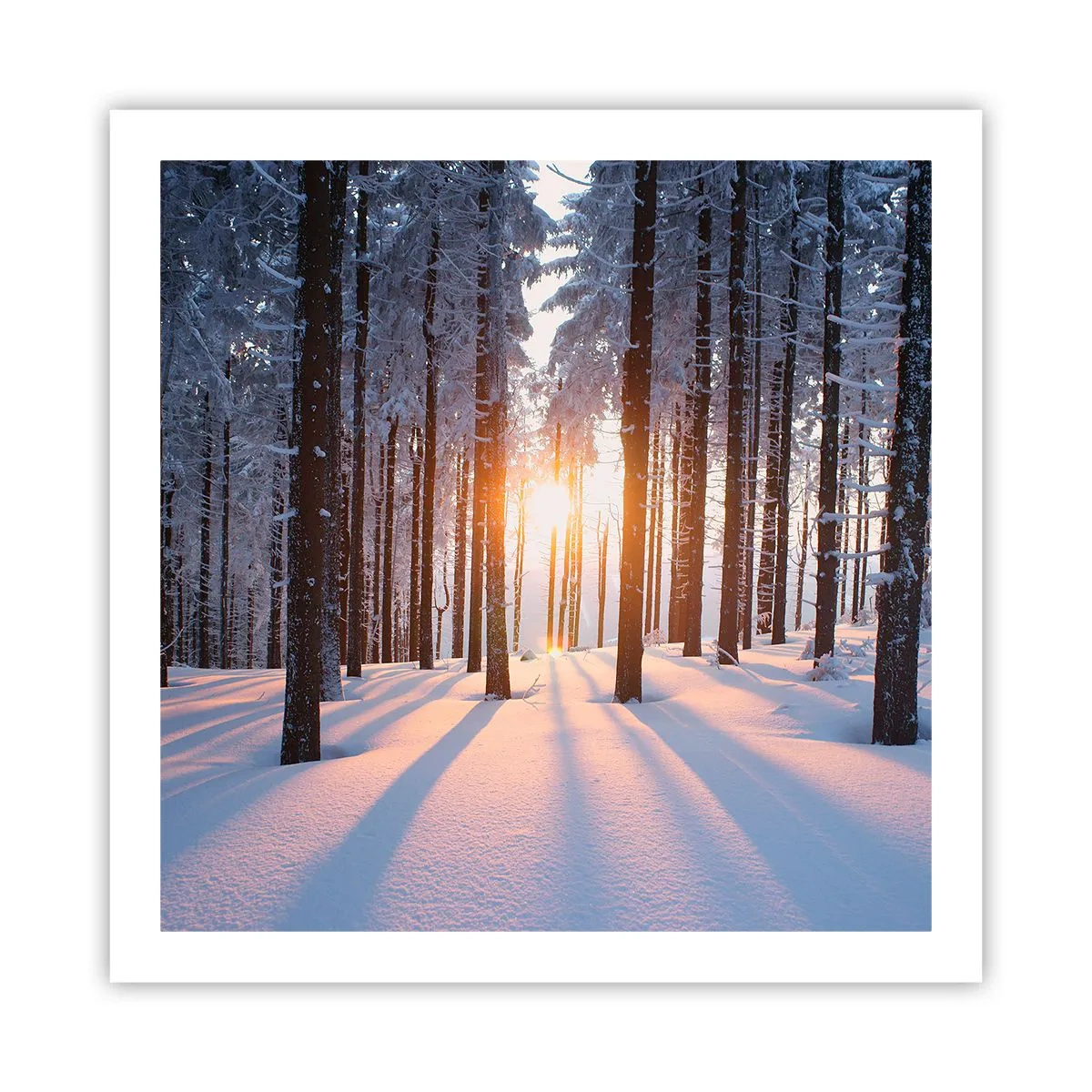 Poster - Ganz klar schwarz auf weiß - 60x60 cm