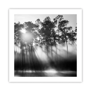 Poster - Unaufhaltsame Sonne - 50x50 cm
