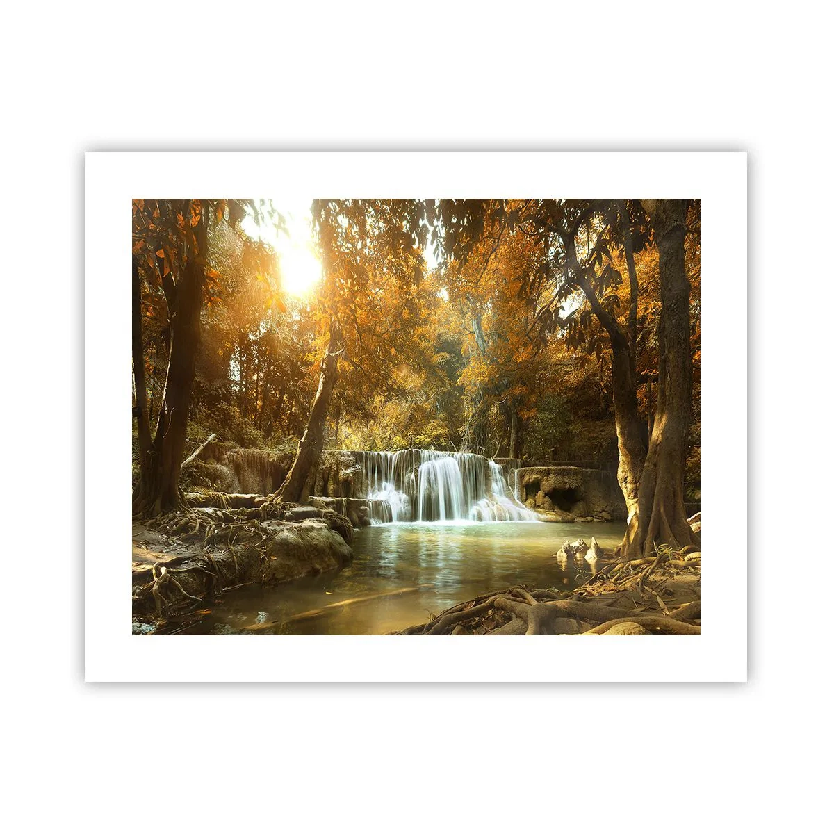 Poster - Parkkaskade - 50x40 cm