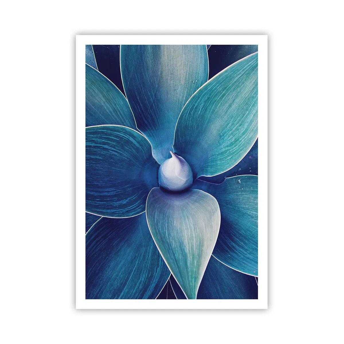 Poster - Bläulich vom Himmel - 70x100 cm