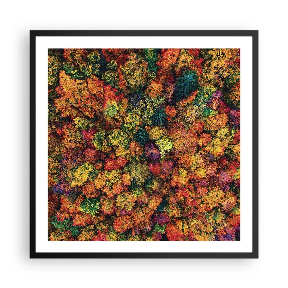 Poster in einem schwarzem Rahmen - Blumenstrauß aus Herbstbäumen - 60x60 cm