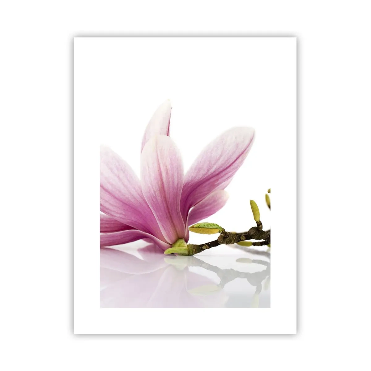 Poster - Zart wie ein Frühlingswind - 30x40 cm