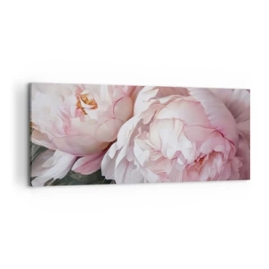 Bild auf Leinwand - Leinwandbild - Zarte rosa Pfingstrosen in voller Blüte - 120x50cm - In der Blüte angehalten - Moderne Wanddekoration für Wohnzimmer und Schlafzimmer ARTTOR