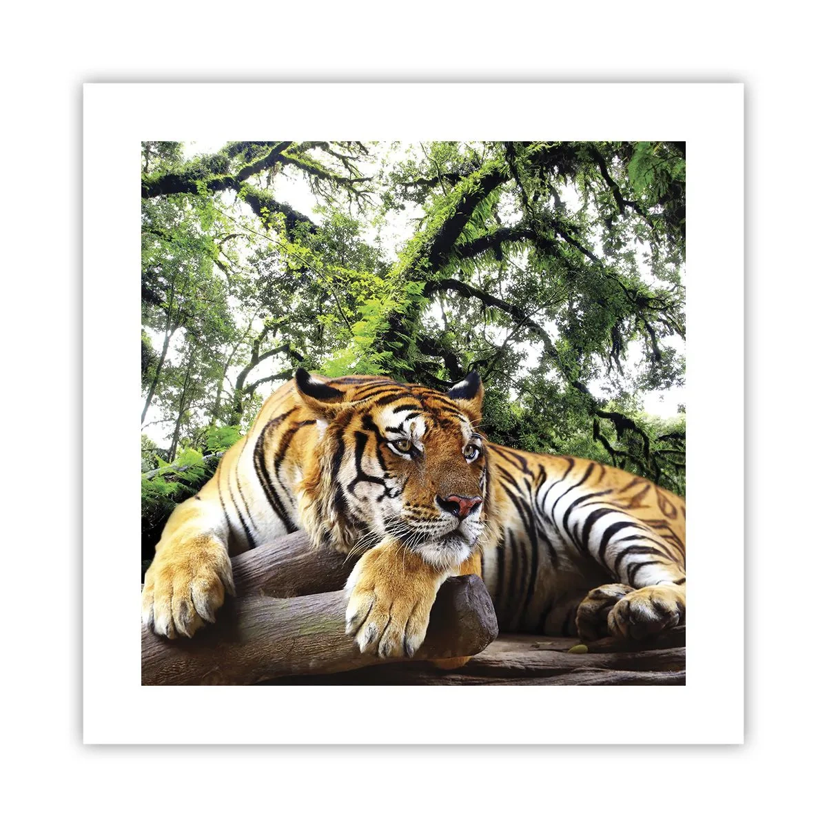 Poster - Hochachtungsvoll - 40x40 cm