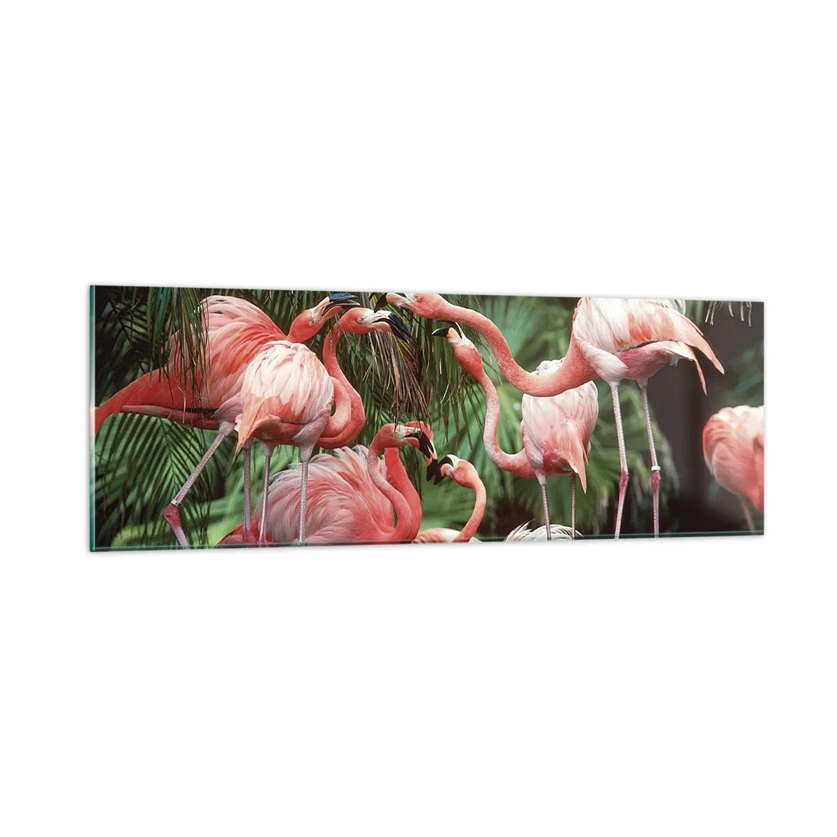 Glasbild - Bild auf glas - Nachmittagsklatsch - 90x30 cm