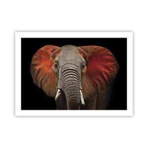 Poster - Ich bin wild und du? - 70x50 cm