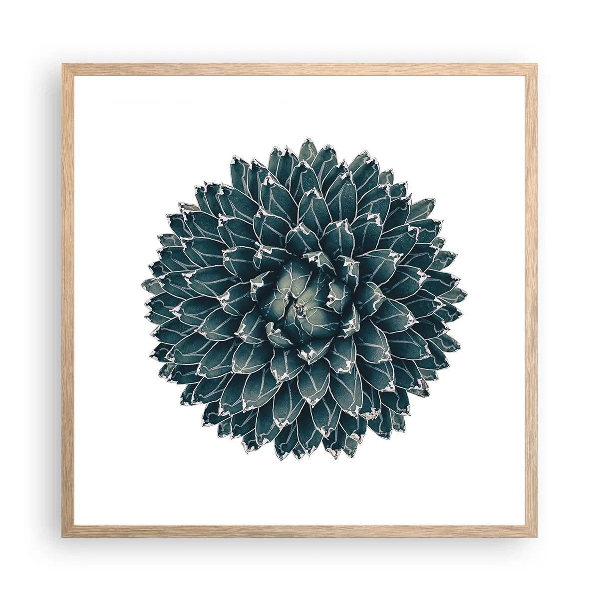 Poster in einem Rahmen aus heller Eiche - Stern der Wüste - 60x60 cm